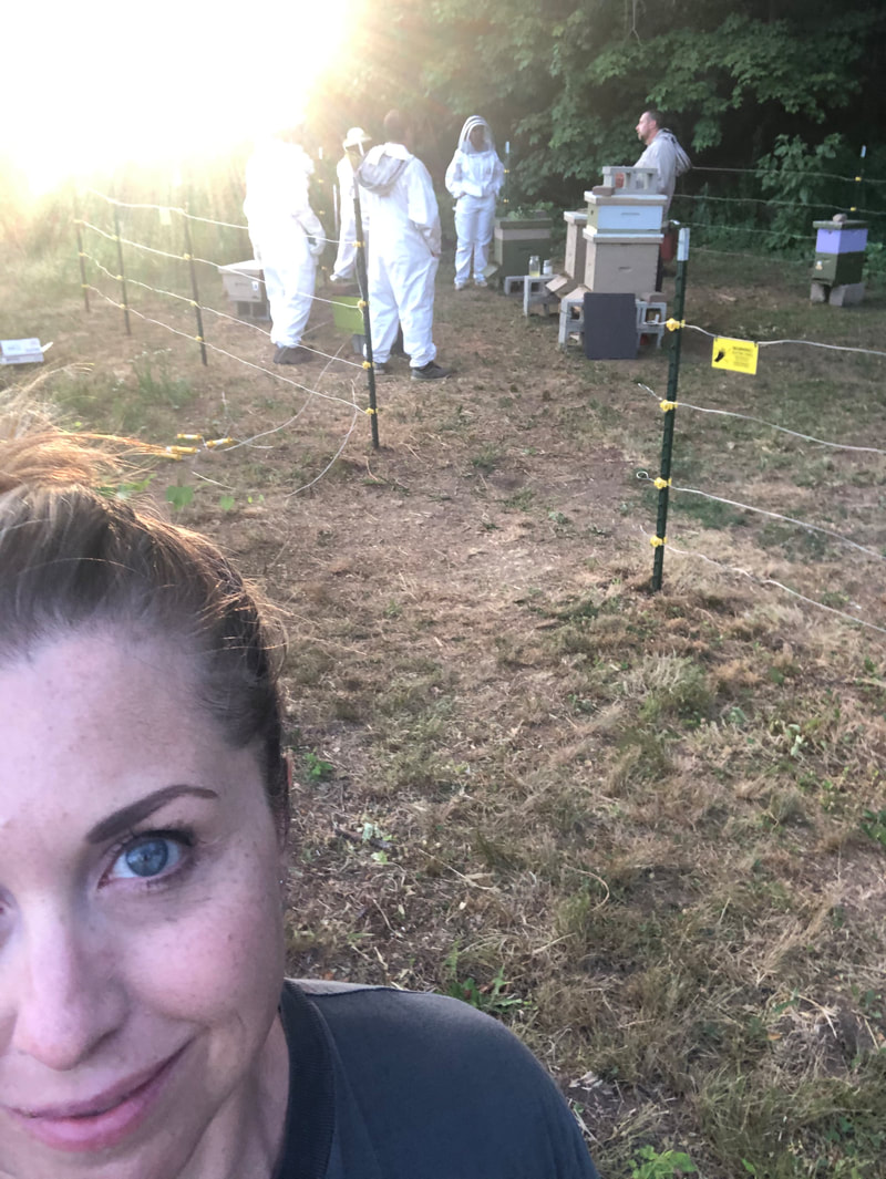 Connecticut Beekeepers Association